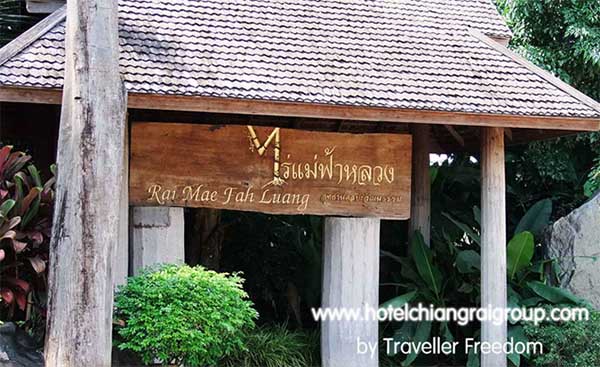 ไร่แม่ฟ้าหลวง เชียงราย