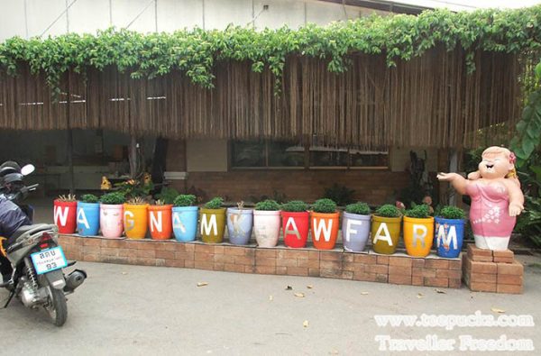 ฟาร์มเห็ด วังน้ำเขียวฟาร์ม