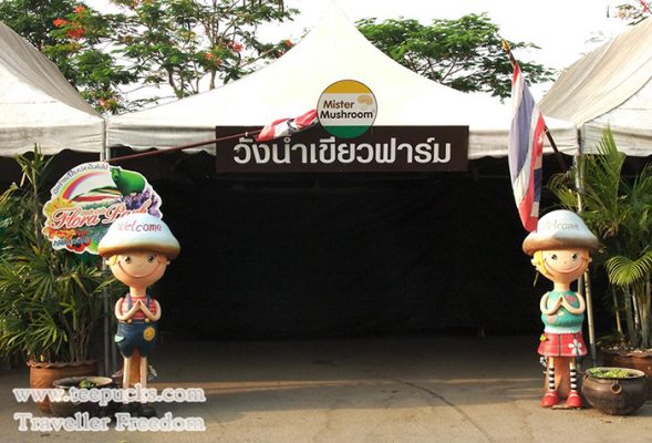 ฟาร์มเห็ด วังน้ำเขียวฟาร์ม