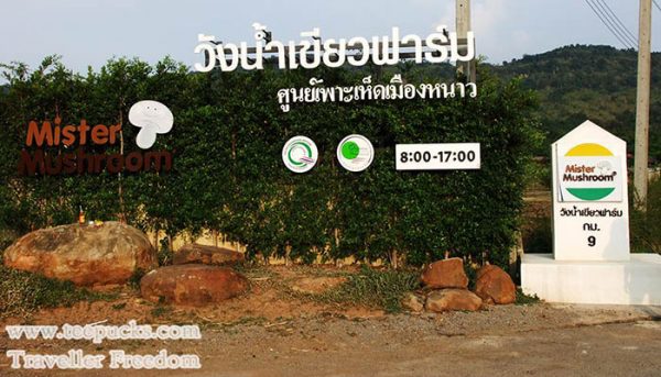 ฟาร์มเห็ด วังน้ำเขียวฟาร์ม