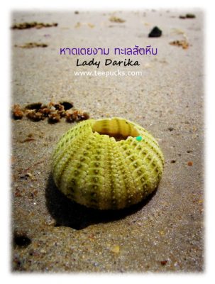เที่ยวสัตหีบ อ่าวนาวิกโยธิน หาดเตยงาม