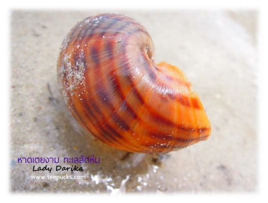 เที่ยวสัตหีบ อ่าวนาวิกโยธิน หาดเตยงาม